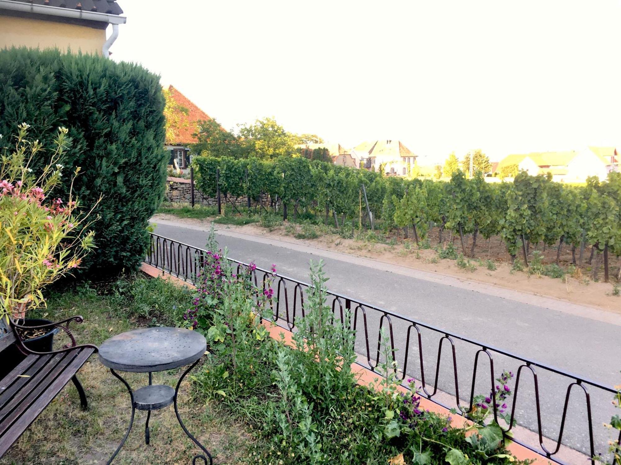 Ferienwohnung Suedpfalzblick Burrweiler Exterior photo